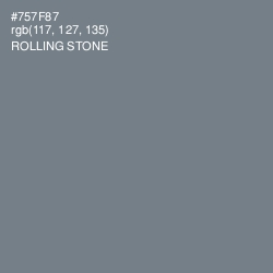 #757F87 - Rolling Stone Color Image