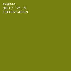 #758010 - Trendy Green Color Image