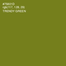 #75801D - Trendy Green Color Image