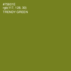 #75801E - Trendy Green Color Image