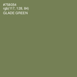 #758054 - Glade Green Color Image
