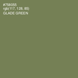 #758055 - Glade Green Color Image