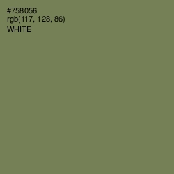 #758056 - Glade Green Color Image