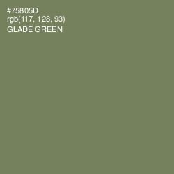 #75805D - Glade Green Color Image