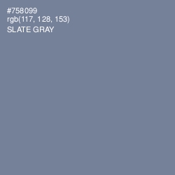 #758099 - Slate Gray Color Image