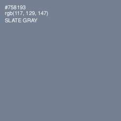 #758193 - Slate Gray Color Image