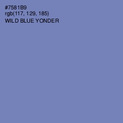 #7581B9 - Wild Blue Yonder Color Image