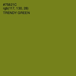 #75821C - Trendy Green Color Image