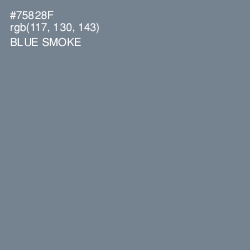 #75828F - Blue Smoke Color Image