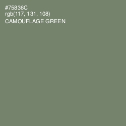 #75836C - Camouflage Green Color Image