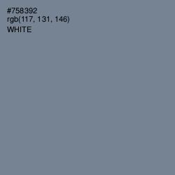 #758392 - Slate Gray Color Image