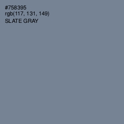 #758395 - Slate Gray Color Image