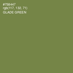 #758447 - Glade Green Color Image