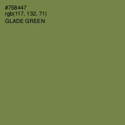 #758447 - Glade Green Color Image