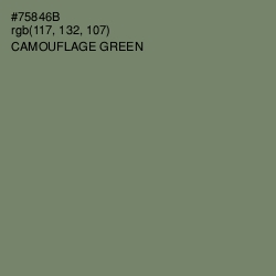 #75846B - Camouflage Green Color Image