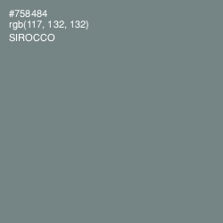 #758484 - Sirocco Color Image