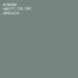 #758580 - Sirocco Color Image