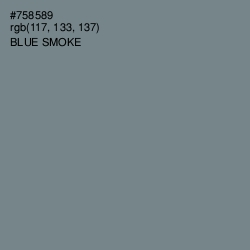 #758589 - Blue Smoke Color Image