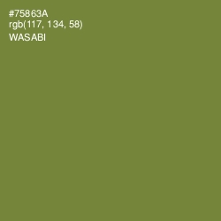 #75863A - Wasabi Color Image