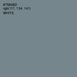 #75868D - Blue Smoke Color Image