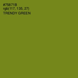 #75871B - Trendy Green Color Image