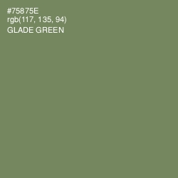 #75875E - Glade Green Color Image