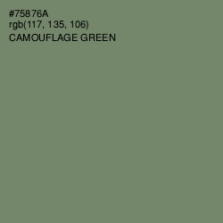 #75876A - Camouflage Green Color Image