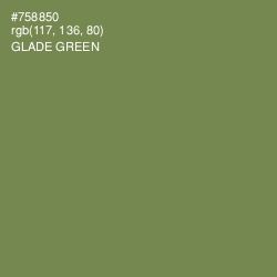#758850 - Glade Green Color Image