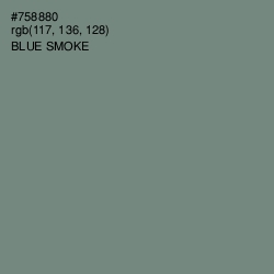 #758880 - Blue Smoke Color Image