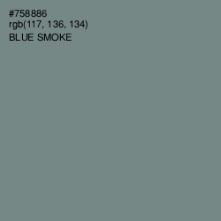 #758886 - Blue Smoke Color Image