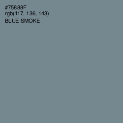 #75888F - Blue Smoke Color Image