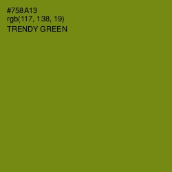 #758A13 - Trendy Green Color Image