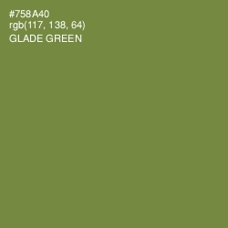 #758A40 - Glade Green Color Image
