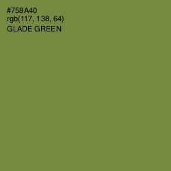 #758A40 - Glade Green Color Image