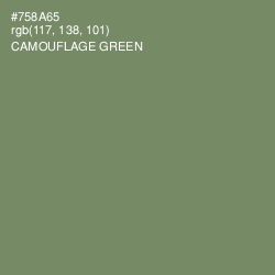 #758A65 - Camouflage Green Color Image