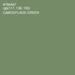 #758A67 - Camouflage Green Color Image