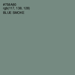 #758A80 - Blue Smoke Color Image