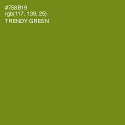 #758B19 - Trendy Green Color Image