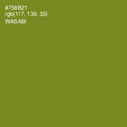 #758B21 - Wasabi Color Image