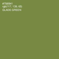 #758B41 - Glade Green Color Image