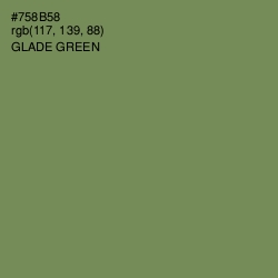 #758B58 - Glade Green Color Image