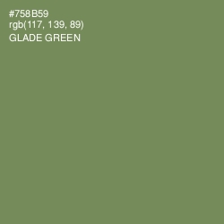 #758B59 - Glade Green Color Image