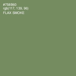 #758B60 - Flax Smoke Color Image