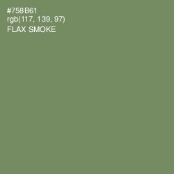 #758B61 - Flax Smoke Color Image