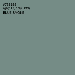 #758B85 - Blue Smoke Color Image