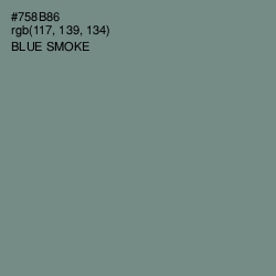 #758B86 - Blue Smoke Color Image