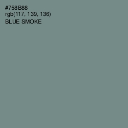 #758B88 - Blue Smoke Color Image