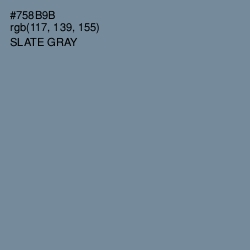 #758B9B - Slate Gray Color Image