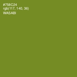 #758C24 - Wasabi Color Image
