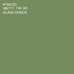 #758C5C - Glade Green Color Image